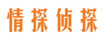 西充调查公司